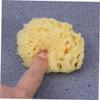 Healeved Skin Exfoliator for Body Honeycomb Bath Sponge Body Scrubber Exfoliator Back Scrubber Bath Tools view 2