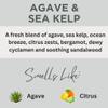 Black Canyon Agave & Sea Kelp Scented Body Lotion with Lanolin and Jojoba Oil, 12 Oz view 2