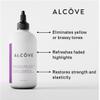 Alcve - Violet Shampoo - Evening Primrose Oil, Mango Extract, and Argan Oil - Sulfate-Free - Blonde Hair - Colored Hair - Neutralize Yellow Tones - Refresh Highlights - Color-Safe -10oz view 2