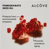 Alcve - Violet Shampoo - Evening Primrose Oil, Mango Extract, and Argan Oil - Sulfate-Free - Blonde Hair - Colored Hair - Neutralize Yellow Tones - Refresh Highlights - Color-Safe -10oz view 3