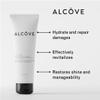 Alcve - Restructuring Mask - Revitalizes & Offers Manageability - Deep Conditioning Hair Mask Made with Avocado & Moringa Oils - Hydrate, Repair, and Fortify Damaged Hair - Color-Safe - Vegan - 8.5oz view 2