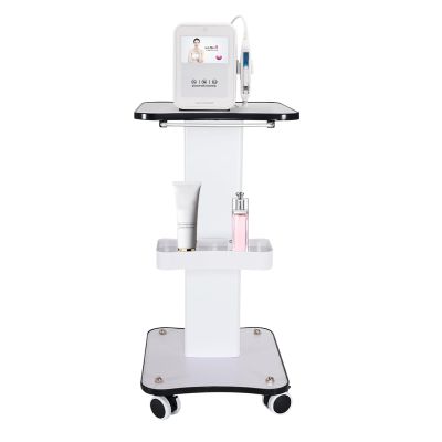 Beauty Tool Cart with Salon Tray&Handle,3 Tier Rolling Salon Trolley Cart Stand Beauty Instrument Tray,Salon Trolley Cart Esthetician Cart Wheeled Salon Spa Cart for Hair Tattoo Stylist (34x38x69cm)