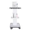 Beauty Tool Cart with Salon Tray&Handle,3 Tier Rolling Salon Trolley Cart Stand Beauty Instrument Tray,Salon Trolley Cart Esthetician Cart Wheeled Salon Spa Cart for Hair Tattoo Stylist (34x38x69cm) view 1