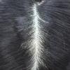 Fine Mono Lace Mens Toupee Hair Replacement System NPU Monofilament Human Hair Piece for Men 8"" X10#2010 Light ASH Blonde+10% Gray view 4