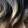 POUERW ArQray Wigs Black and Gray Gradient Color Wig Long Curly Hair Wig Lifelike Beautiful Long Wavy Harajuku Style Cosplay Wig view 3