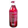 Blondis New York Luxurious Reparative Sulfate Free Shampoo 500Ml, 16.9 Fl Oz (Pack of 1) view 2