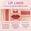 evpct 1Pcs Light Brown Lip Liner and Lipstick Set Kit for Women Matte Lips Kit with Lip Liner Lip Stains Long Lasting Waterproof 24 Hour Lipstick and Lip Liners Combo Lipliners Pencil Set 10# view 3
