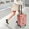 ZUANYAN Large Makeup Trolley With Lock And Partition Storage And Organizing Box, Gold view 4