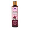 Blessfull Healing Luxury Red Onion Natural Hair Conditioner 300 ml view 1