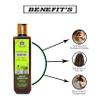 Blessfull Healing Luxury Rosemary Amla Hair Oil - 200Ml view 3