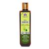 Blessfull Healing Luxury Amla Hair Oil Hair Oil - 300Ml view 1