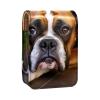 YTYVAGT Makeup Organizer,Makeup Lipstick Case for Outside Mini Bag Travel Cosmetic Pouch,Boxer Dog on the Grass view 1