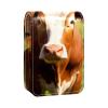 YTYVAGT Lipstick Case,Portable Makeup Bag Cosmetic Pouch,Lipstick Holder Makeup Organizer,Farm Brown Cow view 1