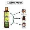 Blessfull Healing Luxury Amla Hair Oil Hair Oil - 200Ml view 3