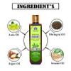 Blessfull Healing Luxury BhringRaj Hair Oil - 100Ml view 2