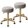 PERBERCH 2pcs Round Rolling Stool, PU Leather Height Adjustable 360 Swivel Chairs, Home Beauty Salons Spa Stools, Titanium Gold 5 Claws with Wheels(Color:Light Gray) (Light Gray) view 1