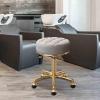PERBERCH 2pcs Round Rolling Stool, PU Leather Height Adjustable 360 Swivel Chairs, Home Beauty Salons Spa Stools, Titanium Gold 5 Claws with Wheels(Color:Light Gray) (Light Gray) view 2