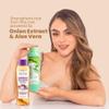 ANYELUZ Onion Shampoo and Aloe Conditioner Set, Strength and Hydration for your Hair, With Onion Extract, Biotin and Argan Oil, Cleanses Deeply and Provides Hydration view 2