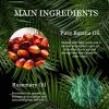 Tgideas Rosemary Batana Oil - Organic Hair Growth -for Scalp & Hair Strengthening - All Hair Types Treatment Oil - Eyebrow & Eyelash Nourishing view 4
