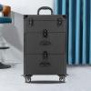 AJLVDY On-the-go Storage Case with Key Roller, Makeup Suitcase Large Capacity, Makeup Suitcase with 4 Wheels Suitable for Manicurist Makeup Artist Beginners and Professionals,Black view 3