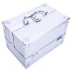 Gsytbakge Makeup Train Case, Portable Cosmetic Box,Aluminum Makeup Train Case Jewelry Box Cosmetic Storage Organizer with Mirror for Makeup Artist, Crafter (Silver) view 2