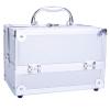 Gsytbakge Makeup Train Case, Portable Cosmetic Box,Aluminum Makeup Train Case Jewelry Box Cosmetic Storage Organizer with Mirror for Makeup Artist, Crafter (Silver) view 3