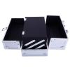 Gsytbakge Makeup Train Case, Portable Cosmetic Box,Aluminum Makeup Train Case Jewelry Box Cosmetic Storage Organizer with Mirror for Makeup Artist, Crafter (Silver) view 4