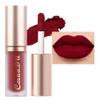evpct 1Pcs Dark Sexy Red Matte Liquid Lipstick Lip Gloss Glossy Set for Black Women 24 Hour Silky Velvet Lipstick labiales matte larga duracion mate 24 horas originales 06# view 1