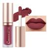 evpct 6Pcs Maroon Red Silky Velvet Matte Liquid Lipstick Lip Gloss Set for Women Long Lasting 24 Hours Color Stay Lipstick labiales matte larga duracion mate 24 horas originales 10# view 1
