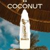 BioRLX Coconut Oil Lip Balm - Natural Hydration with Coconuts Nourishing Properties for Everyday Lip Care (Coconut, 0.12 Ounce (Pack of 1)) view 2