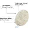 100% Organic Oval Shape Loofah Pack of 3|Exfoliating Bath Sponge for Men and Women |Natural Real Egyptian Shower Loofah Sponge Body Scrubber |Removes Dead Skin Easily view 3