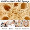 100% Organic Oval Shape Loofah Pack of 3|Exfoliating Bath Sponge for Men and Women |Natural Real Egyptian Shower Loofah Sponge Body Scrubber |Removes Dead Skin Easily view 4