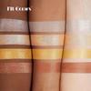 Generic Plum Blossom Face Highlight and Contour Powder by Fit Colors, 3D Sculpted Highlight and Shadow (4, 1) view 3