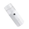 MAGICLULU Nano Facial Sprayer Portable Charging Facial for Skin Hydration view 1