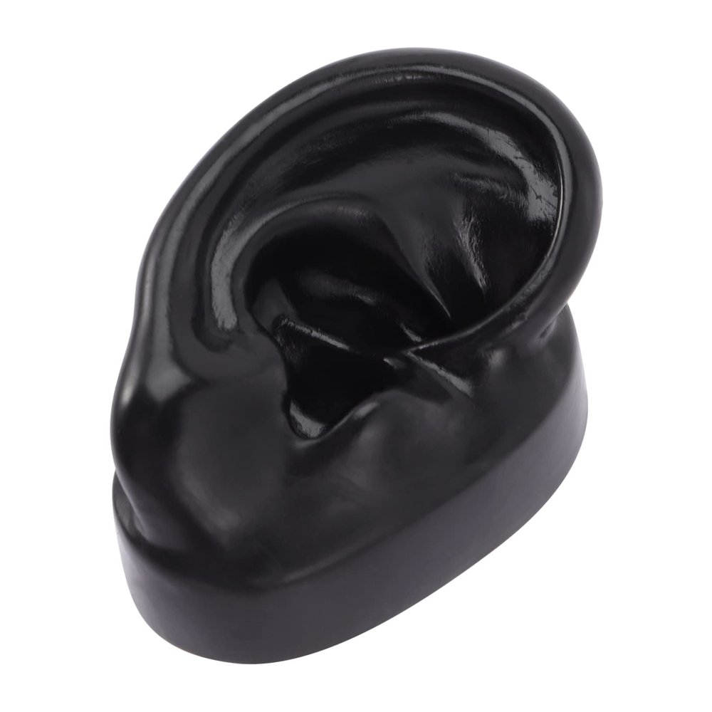 Beaupretty Ear Model Silicone for Piercing Practice Realistic Fake Ear Display for Jewelry Teaching for Acupuncture Training