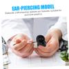 Beaupretty Ear Model Silicone for Piercing Practice Realistic Fake Ear Display for Jewelry Teaching for Acupuncture Training view 2
