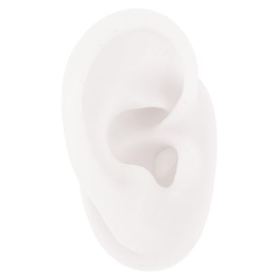 Beaupretty Realistic Ear Piercing Jewelry Model Silicone Ear Mold Earring Display Acupuncture Practice Tool