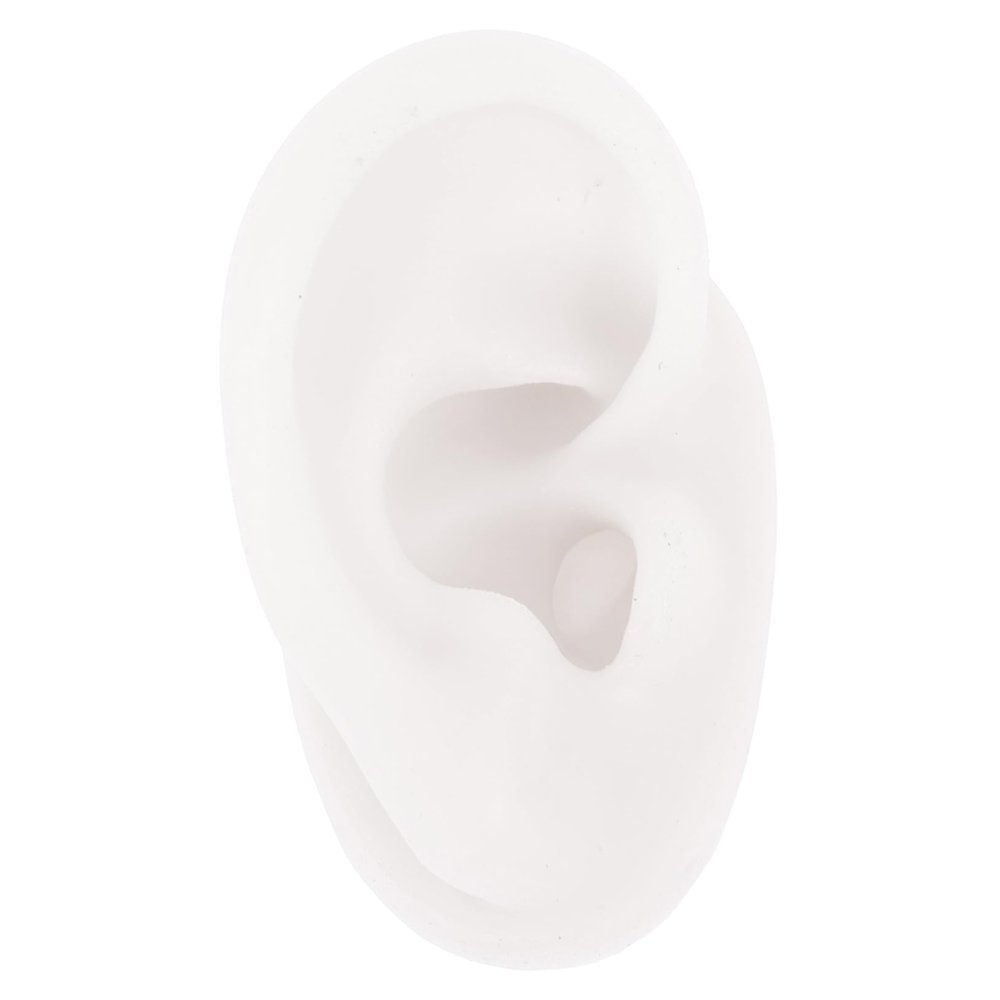 Beaupretty Realistic Ear Piercing Jewelry Model Silicone Ear Mold Earring Display Acupuncture Practice Tool