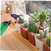 Mist Sprayer Plastic Portable One Hand Watering for Seedlings view 2