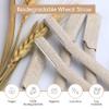 Dermaplane Face Razor Tool - Biodegradable- Swedish Stainless Steel-For exfoliation and Hair removal- Men and Woman -12 pc. Organic Luxury view 3