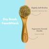4pcs Dry Brushing Body Brush Set for Lymphatic Drainage-Natural Bristle Dry Skin Brush +Facial Dry Brush for Face+Dry Skin Exfoliating Scrubber+Wood Therapy Massage Tool. Gua Sha, Anti-Cellulite. view 4