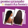 Difeel Pomegranate & Manuka Honey Hair Care Set - 12oz Shampoo, 12oz Conditioner, 8oz Leave-in Spray, 2.5oz Hair Oil view 3