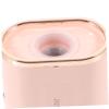 VINTORKY Handheld Facial Mister for Women Portable Nano Spray Face Steamer Sturdy Construction for Travel Salon Use for Friends view 3