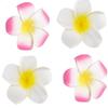 4 Pcs 7cm White and Pink Hawaiian Frangipani Plumeria Foam Head Flower Party Beach Hair Clip Hair Clips, Clips and Barrettes, Hawaiian Flower Hair Clips view 1