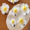 4 Pcs 7cm White and Pink Hawaiian Frangipani Plumeria Foam Head Flower Party Beach Hair Clip Hair Clips, Clips and Barrettes, Hawaiian Flower Hair Clips view 2