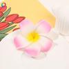 4 Pcs 7cm White and Pink Hawaiian Frangipani Plumeria Foam Head Flower Party Beach Hair Clip Hair Clips, Clips and Barrettes, Hawaiian Flower Hair Clips view 4