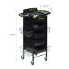 Rieort Salon Trolley 5 Layer Salon Rolling Cart Steel Trolley Cart with Tray and Wheels Salon Cart for Beauty Spa Salon Trolley Cart view 3