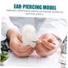 NOLITOY Creative Lifelike Silicone Ear Piercing Model for Practice and Display Realistic Earring Showing Prop for Students and Professionals and Reusable Design for Ear-piercing Techniques view 3