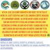 Dr. Livsey's Brewery Edition Soap - 3-Pack, 5 oz Each, Beer-Inspired, Cold Processed, 100% Natural, Fresh, Anti-Odor with Natural Skin Oils, Cruelty-Free, Handmade in USA (Jungle Juice) view 4