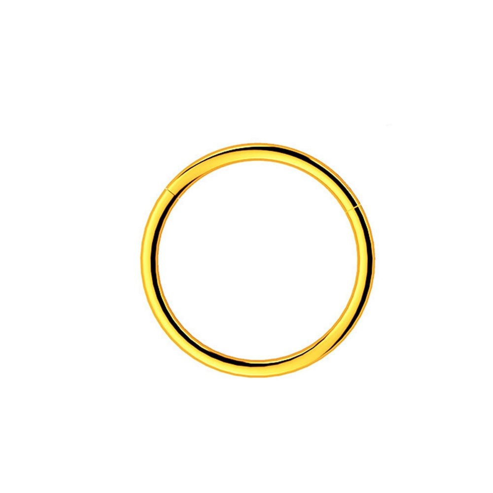 BTAKANPP 16g Nose Ring And Stylish Nose Piercing Jewelry Nose Ring Hoops with Diamonds (Gold, One Size)